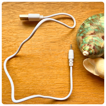 Avelora Pro Water Flosser